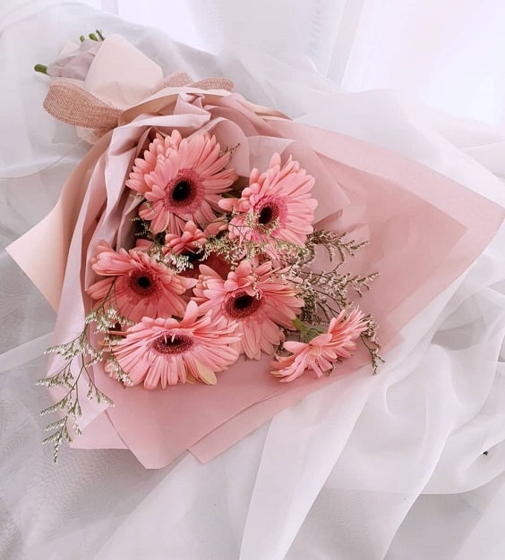 Bó hoa đồng tiền mix SP000005