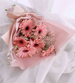 Bó hoa đồng tiền mix SP000008